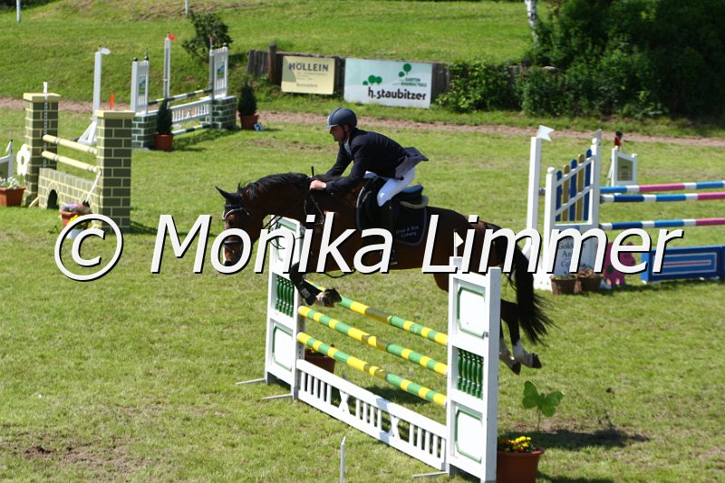 005M5441_Tarquina_L Springen.JPG